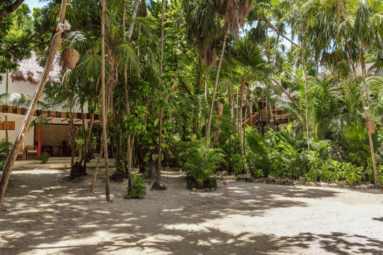 Dos Ceibas Tulum - Massage & Yoga Inclusive 호텔 외부 사진