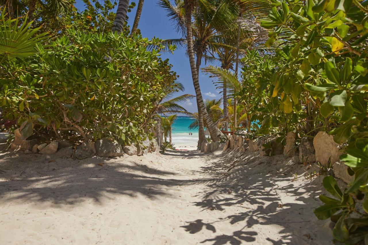 Dos Ceibas Tulum - Massage & Yoga Inclusive 호텔 외부 사진
