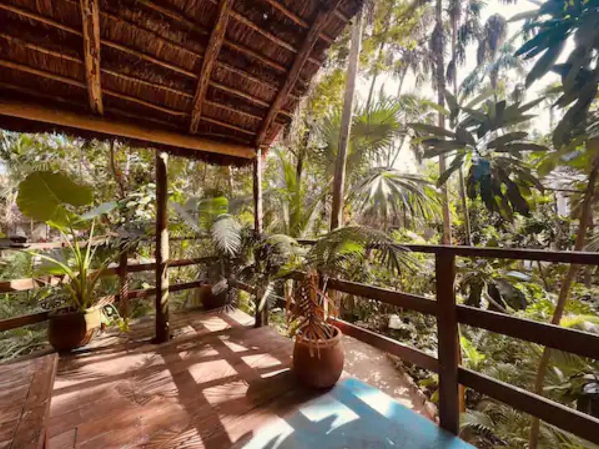 Dos Ceibas Tulum - Massage & Yoga Inclusive 호텔 외부 사진